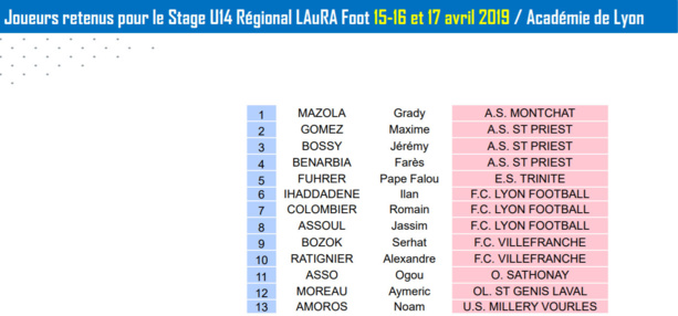 Détection U14 - Les joueurs convoqués pour le stage REGIONAL et DEPARTEMENTAL