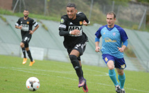 N2 (MDA Chasselay) - Le FC Annecy en attendant MALBRANQUE... et d'autres ?